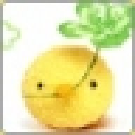plui